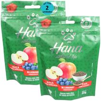 Hana Natural Life Maçã Blueberry Chia 80g Snacks Para Cães Adultos Kit com 2 un Hana Natural Life Maçã Blueberry Chia 80g Snacks Para Cães Adultos Kit com 2 un