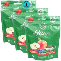 Hana Natural Life Maçã Blueberry Chia 80g Snacks Para Cães Adultos Kit Com 3 un Hana Natural Life Maçã Blueberry Chia 80g Snacks Para Cães Adultos Kit Com 3 un
