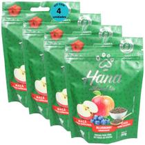 Hana Natural Life Maçã Blueberry Chia 80g Snacks Para Cães Adultos Kit Com 4 un Hana Natural Life Maçã Blueberry Chia 80g Snacks Para Cães Adultos Kit Com 4 un