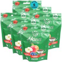 Hana Natural Life Maçã Blueberry Chia 80g Snacks Para Cães Adultos Kit com 6 un Hana Natural Life Maçã Blueberry Chia 80g Snacks Para Cães Adultos Kit com 6 un