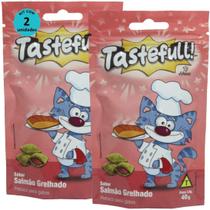 Hana Tastefull Nuggets Gatos Salmão Grelhado 40G Kit 2 Un