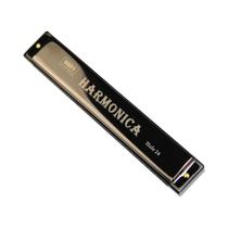 Harmônica Profissional De Metal Com 24 Furos Para Iniciantes Com Estojo, Kit De Início Para