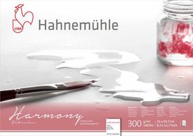 Harmony Hahnemuhle 300g Fina A4 12fls