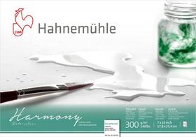 Harmony Hahnemuhle 300g Satinado 17,8X25,4 12fls
