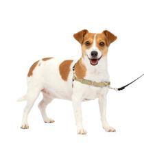 Harness PetSafe Easy Walk para cães pequenos e castanhos