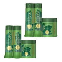 Haskell Bananeira 4 Produtos P + 2 Máscaras Bananeira 500g