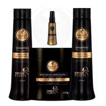 Haskell Cavalo Forte 2 Shampoos + Máscara 500g + Selante