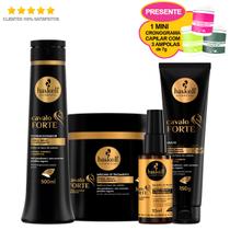 Haskell Cavalo Forte Condicionador Másc 500g + Selante Leave (Ganhe 1 Mini Cronograma) Haskell Cavalo Forte Condicionador Másc 500g + Selante Leave (Ganhe 1 Mini Cronograma)