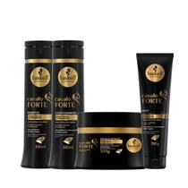 Haskell Cavalo Forte Sh 300ml + Cond 300ml + Masc 300ml + Leave-in 150ml Haskell Cavalo Forte Sh 300ml + Cond 300ml + Masc 300ml + Leave-in 150ml