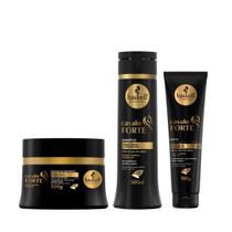 Haskell Cavalo Forte Sh 300ml + Masc 300ml + Leave-in 150ml