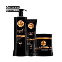 Haskell Cavalo Forte Shampoo 1 Litro Máscara 500g + Leave In