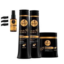 Haskell Cavalo Forte - Shampoo Condicionador Máscara 500g + Selante