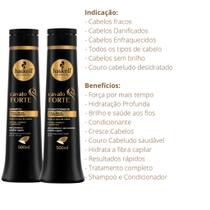 Haskell Cosméticos Kit Cavalo Forte Shampoo + Condic 500ml