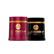 Haskell Cosméticos Máscaras Cavalo Forte E Liso Força 500g