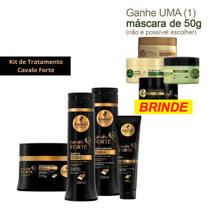 Haskell Kit Cavalo Forte 4 Produtos Sha Cond Mascara Leave in Mini Máscara 50g