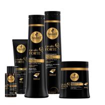 Haskell Kit Cavalo Forte 500g Com 5 Itens
