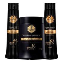 Haskell Kit Cavalo Forte Xampu Condicionador Máscara 500ml Haskell Kit Cavalo Forte Xampu Condicionador Máscara 500ml