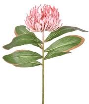 Haste alfineteiro (licospermum) rosa - 55371