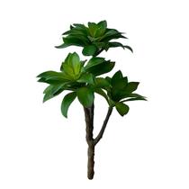 Haste com três suculentas verde toque real 40ax23l/cm