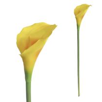 Haste Copo de Leite em Silicone Artificial Decorativa 76cm