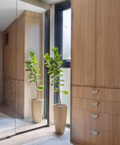 Haste de ficus lyrata artificial 70cm o vaso não acompanha Haste de ficus lyrata artificial 70cm o vaso não acompanha