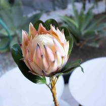 Haste de Flor Artificial Protea Frosted Com Coat Salmão 50 cm F04 - D'Rossi