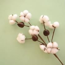 Haste de Flor de Algodão Envelhecida Flor Seca Formosinha