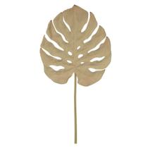 Haste de Folha Eva Costela de Adão Palha 68cm