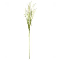Haste de Foxtail 77cm Haste de Foxtail 77cm