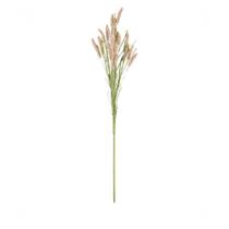 Haste de Foxtail 77cm