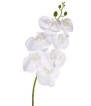 Haste de Orquídea X7 em PVC BRANCA Elegância e Realismo Haste de Orquídea X7 em PVC BRANCA Elegância e Realismo