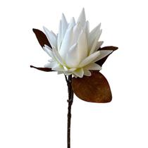 Haste de protea branca 54ax18l/cm