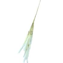 Haste de trigo cor creme 116cm tecido - a casa Haste de trigo cor creme 116cm tecido - a casa