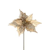 Haste Decor Champagne 27 X 50Cm