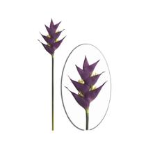 Haste em plástico Brilliance Heliconia Fox 90cm roxo