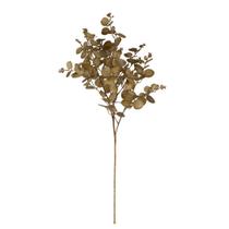 Haste Eucalipto Outonado 76cm Haste Eucalipto Outonado 76cm