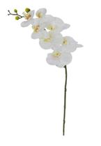 Haste Flor Artificial Orquídea Phalaenopsis Real Toque X7 73cm Haste Flor Artificial Orquídea Phalaenopsis Real Toque X7 73cm