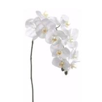 Haste Flor Orquídea Phalaenopsis Branca Toque Real Silicone Artificial 73cm Florarte