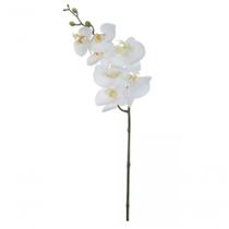 Haste Flor Orquidea Phalaenopsis Real Toque C-coat X7 Branco 63cm Haste Flor Orquidea Phalaenopsis Real Toque C-coat X7 Branco 63cm