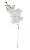 HASTE FLOR ORQUIDEA PHALAENOPSIS REAL TOQUE C/COAT X7 BRANCO 63cm HASTE FLOR ORQUIDEA PHALAENOPSIS REAL TOQUE C/COAT X7 BRANCO 63cm