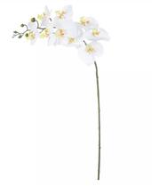 HASTE FLOR ORQUIDEA PHALAENOPSIS REAL TOQUE X9 BRANCO BEAUTY 94cm HASTE FLOR ORQUIDEA PHALAENOPSIS REAL TOQUE X9 BRANCO BEAUTY 94cm