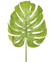 Haste folha costela de adao g verde claro - 54536