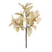 Haste Folhagem Outonada Creme 37cm