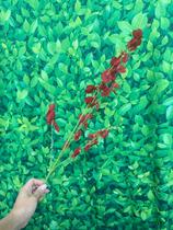 Haste Galho Orquídea Chuva de Ouro Artificial P/ Arranjos e Decoração em geral 95 CM Decorativa Haste Galho Orquídea Chuva de Ouro Artificial P/ Arranjos e Decoração em geral 95 CM Decorativa