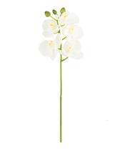 Haste Mini Phalaenopsis Silicone Branco - 38cm