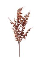 Haste Natalina Folha Samambaia Silvestre X8 Grillo Mult6 Rosa Haste Natalina Folha Samambaia Silvestre X8 Grillo Mult6 Rosa