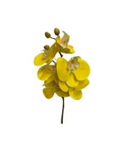 Haste Orquídea C 6 Flores Amarelo - Villaggio das Flores