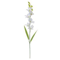 Haste Orquídea Dendrobium Florarte 62cm Branca