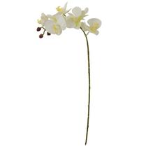 Haste Orquídea Phalaenopsis Real Toque Branco 69cm x6 42509001 - Florarte Haste Orquídea Phalaenopsis Real Toque Branco 69cm x6 42509001 - Florarte