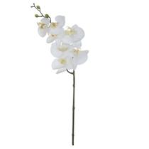 Haste Orquídea Phalaenopsis Toque Real 63cm Haste Orquídea Phalaenopsis Toque Real 63cm